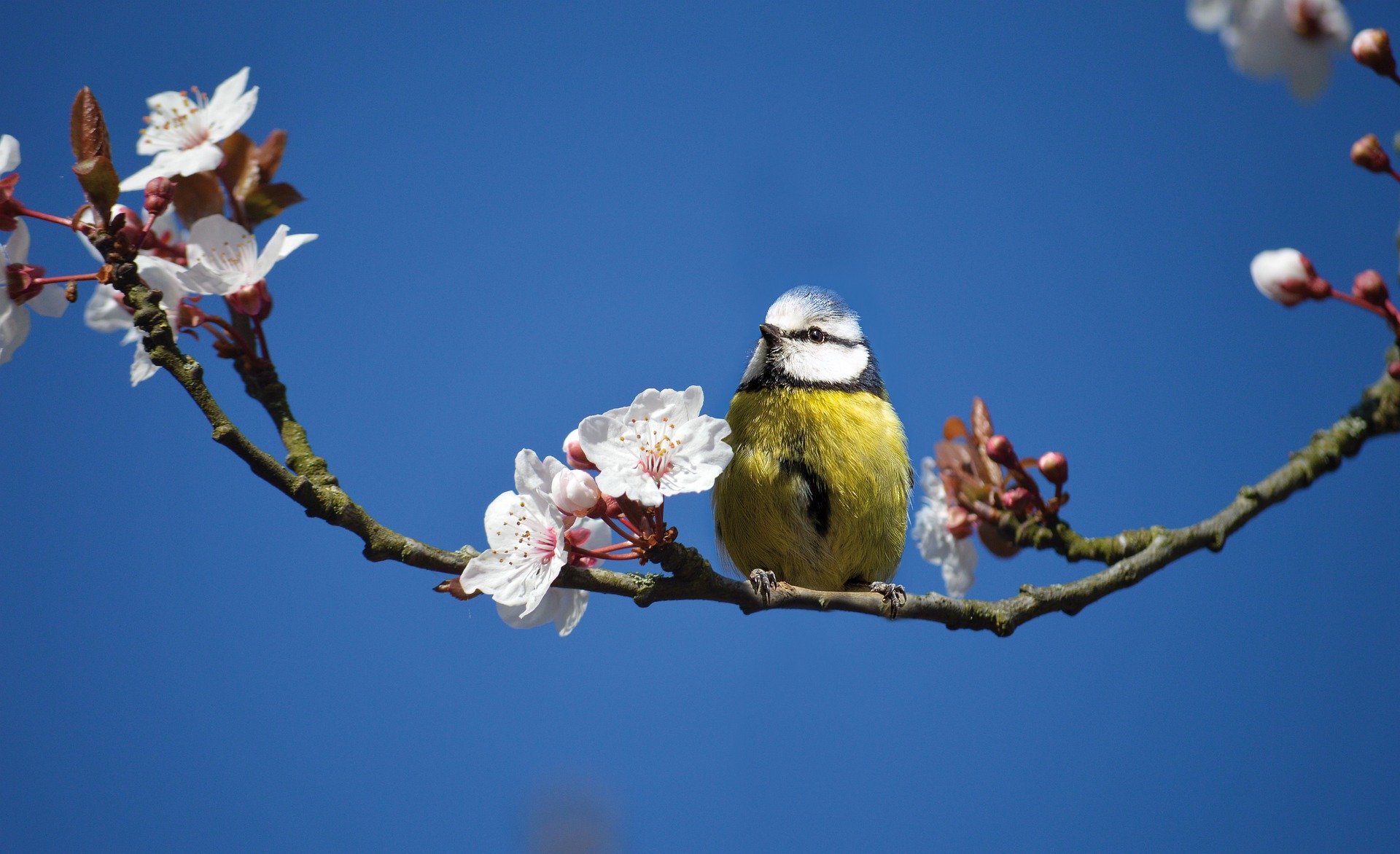 Symbolfoto: Frauke Riether auf Pixabay
